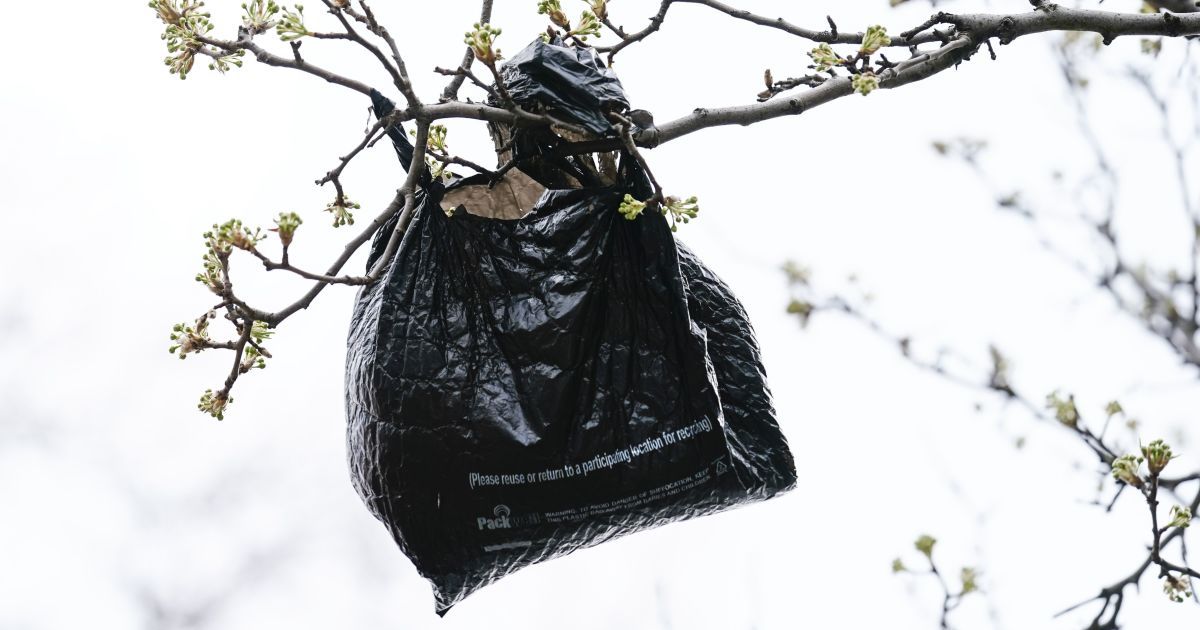 Парламент заборонив пластикові пакети: що передбачає закон