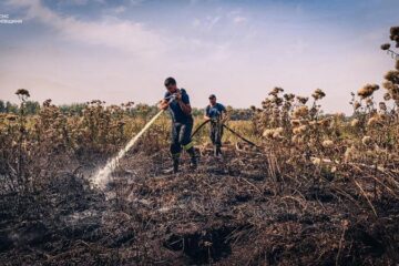 У чотирьох районах Київської області зафіксували пожежі торф’яників, трав’яного настилу та лісової підстилки