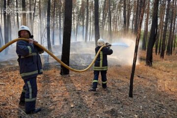 На Харківщині рятувальники третю добу гасять масштабну лісову пожежу