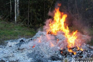 ​На Житомирщині поліція знищила 60 кг наркотиків і 6 тисяч нарковмісних рослин