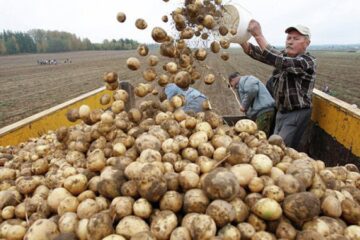 Із наступного року військовим закуповуватимуть більше сезонних овочів і фруктів