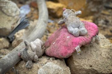 У зоні активних бойових дій в Донецькій області наразі перебувають 748 дітей, — ОВА