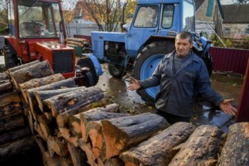 “Закон про дрова”: навіщо, хто ініціатор і кого каратимуть