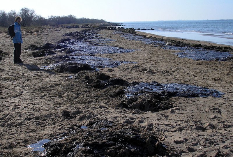 Павло Гольдін на узбережжі Керченського півострова, 2007 р