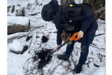 ​На Житомирщині сапери ДСНС знищили артснаряд, який знайшли діти