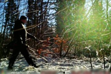 Посміхніться, ви попались: фотопастка зафіксувала чергових порушників румунського кордону