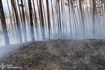 Через російські обстріли на Харківщині загорілися 1,5 гектари лісової підстилки