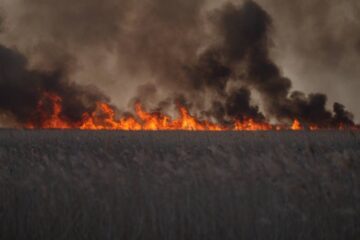 На Одещині горить один із національних природних парків