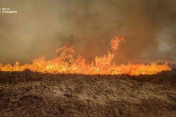 Бійці ДСНС врятували на Київщині трьох дітей