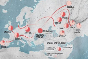 Половина людства може походити від общини, яка жила в Україні 5000 років тому – WSJ