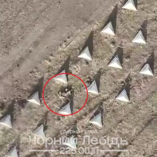 Окупант дістався пішки «зубів дракона», щоб заплутатись у колючому дроті та загинути від скидів