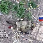 Десятки вбитих та один полонений: «Хижаки» поділилися своїми досягненнями на Торецькому напрямку