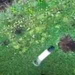 «Фенікс» залетів до ворожих позицій та знищив десяток окупантів