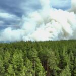 Через російські обстріли на Харківщині горять ліси, — ДСНС