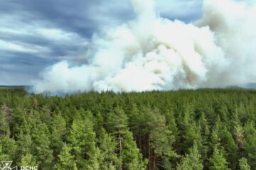 Через російські обстріли на Харківщині горять ліси, — ДСНС