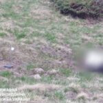 На Закарпатті тіло чоловіка знайшли поблизу кордону