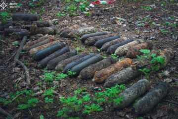 На Волині сапери ДСНС виявили понад десяток боєприпасів часів Першої світової війни
