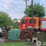 На Полтавщині унаслідок вибуху боєприпасу загинув чоловік