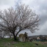 Завтра в Україні до +17 тепла, у Карпатах мокрий сніг