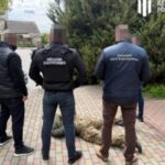 На Тернопільщині затримали ділка, який намагався “продати” довідку про непридатність за $25 тис