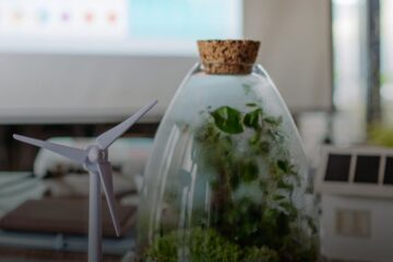 В Україні запрацює Зелена платформа – цифровий каталог доступних програм зеленого фінансування