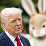 Прем’єр-міністр Нідерландів заявив, що Трамп підтвердив намір відвідати червневий саміт НАТО