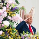 Bloomberg: Європа розглядає можливість купувати у США зброю для України, якщо Трамп вирішить “відійти” від війни