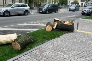 У Києві знову спиляли здорові дерева – Перов