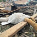Ворожа атака по мирних домівках: російський удар забрав життя трьох дітей на Житомирщині