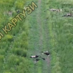 Десятки трупів росіян на трьохстах метрах — дорога смерті під Покровськом