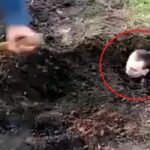 «Бєлоє сонце пустині» — окупанти заживо закопують своїх солдатів за відмову йти у «м’ясні» штурми