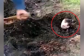 «Бєлоє сонце пустині» — окупанти заживо закопують своїх солдатів за відмову йти у «м’ясні» штурми