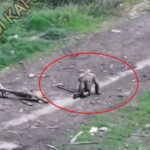 «Вже почав святкувати» — окупант влаштував собі особистий «дєнь пабєди», але встати «с калєн» так і не зміг