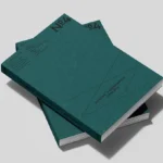 Шрифти Василя Хоменка й айдентика Театру Франка. Це четвертий випуск «Літопису українського дизайну»