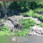 «Без спротиву — без зайвих рухів»: українські десантники взяли в полон окупанта на Сіверському напрямку