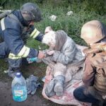 На Сумщині внаслідок обстрілу рф зруйновано житловий будинок, з-під завалів врятували жінку