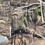 Окупанти розстріляли двох військовополонених на Покровському напрямку, триває розслідування
