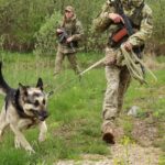 Чотирилапий прикордонник допоміг затримати у Карпатах псевдотуристів з Одещини