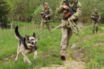 Чотирилапий прикордонник допоміг затримати у Карпатах псевдотуристів з Одещини