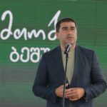 Грузія звинуватила посла Великобританії у втручанні у вибори