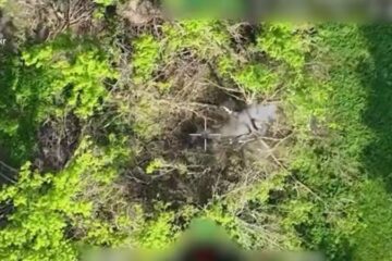 Українські прикордонники знищили польвоий склад з БК та ворожу техніку