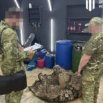 ДБР викрило військових, які списували і продавали дизпаливо, призначене для бойових вилетів
