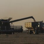 ЦПД: окупанти змушують аграріїв на ТОТ здавати українське зерно до російських резервів