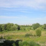 На Волині викрили посадовця Держгеокадастру на незаконному продажі землі заповідного фонду