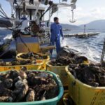 Китай скасував заборону на імпорт морепродуктів з більшості регіонів Японії