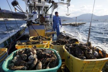 Китай скасував заборону на імпорт морепродуктів з більшості регіонів Японії