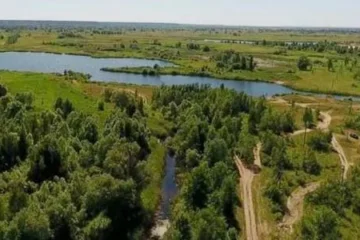 Суд зобов’язав знести 26 самобудів у заказнику «Деснянські луки»