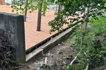 У Протасовому Яру ресторан Sunset Terrace вирубує дерева, щоб зробити зону з кальянами й басейном