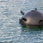 Пляжний сезон відкрито: військові оцінили шанс купання з мінами