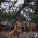 На Покровському напрямку окупанти 47 разів атакували позиції Сил оборони